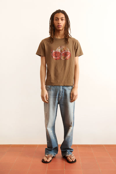 Men's brown t-shirt with a graphic design of a natural motif