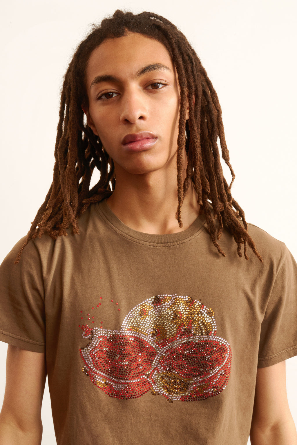 Men's brown t-shirt with a graphic design of a natural motif